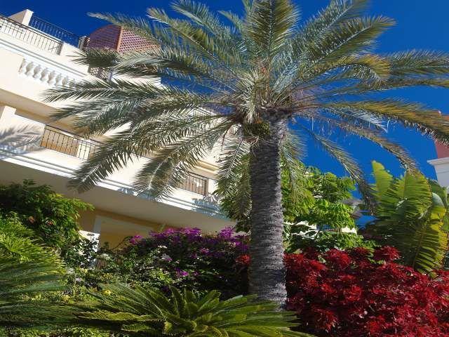 Apartamentos Granada Park Playa de las Americas  Bagian luar foto